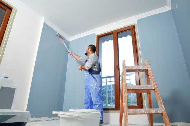 Best Emergency Mold Remediation  in Shannondale, WV