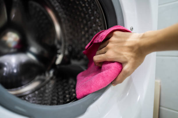 Best Mold Damage Restoration  in Shannondale, WV