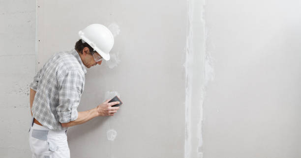 Best Residential Mold Inspection & Testing  in Shannondale, WV