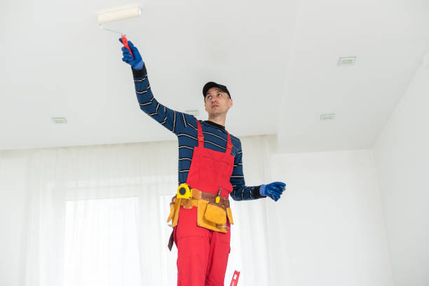 Best Attic Mold Removal  in Shannondale, WV