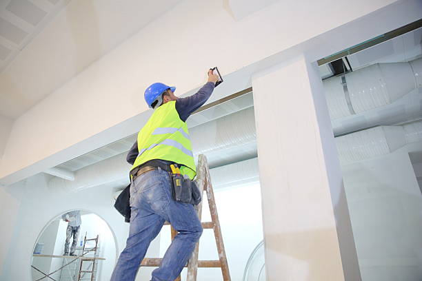 Best Biohazard Mold Removal  in Shannondale, WV